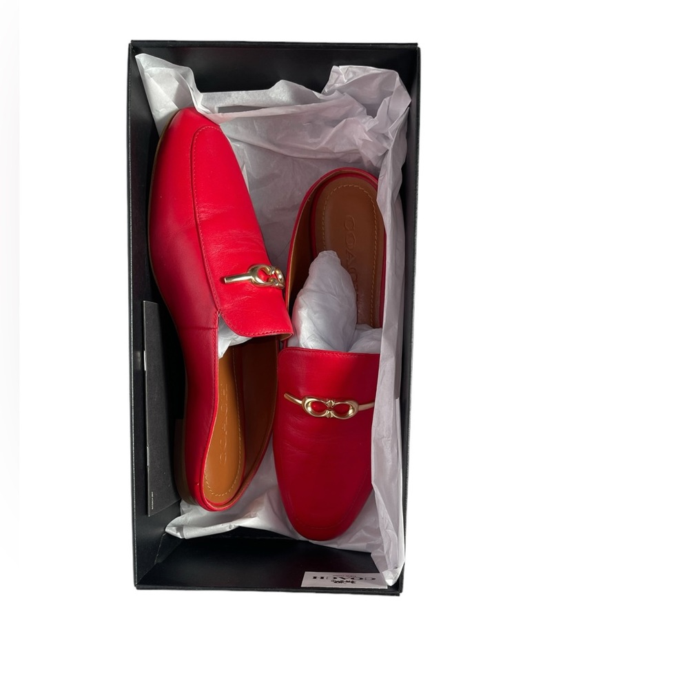 Sienna Slide - image 2